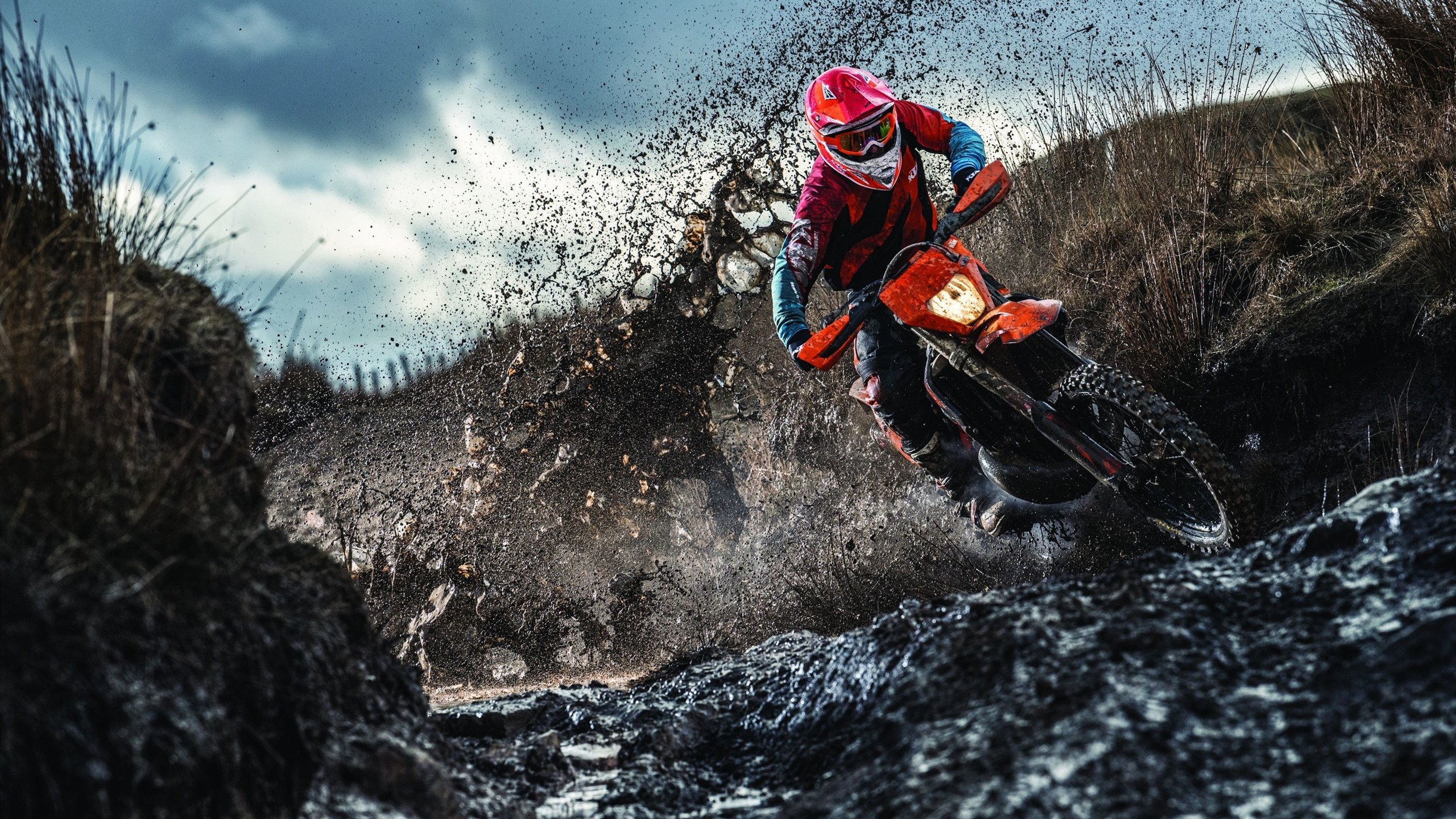 世界杯后主流媒体的报道倾向，世界杯主办方优势