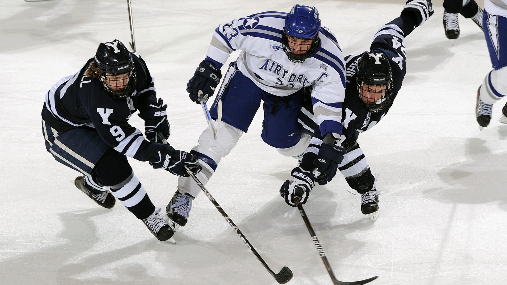 体育新闻中心发布体育创作者职业发展支持政策，体育行业创业的方向